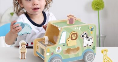 Jak vybrat dřevěná autíčka pro děti